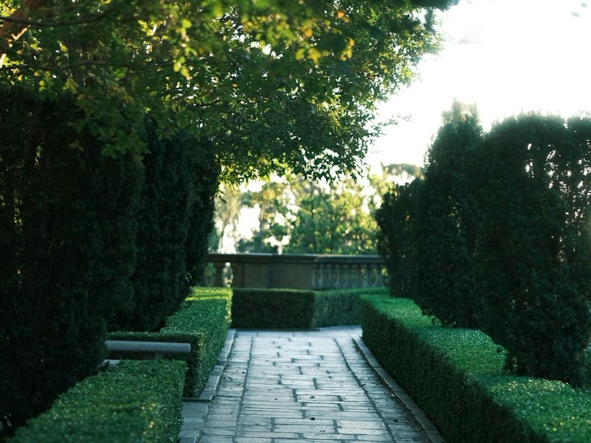 Well maintained garden path